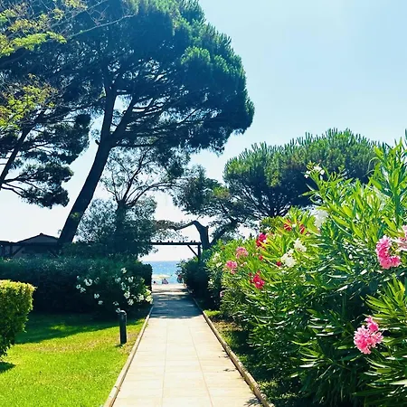 Apartment Studio, Acces Direct - 4 Pers. - Fr-1-251-957 Le Lavandou